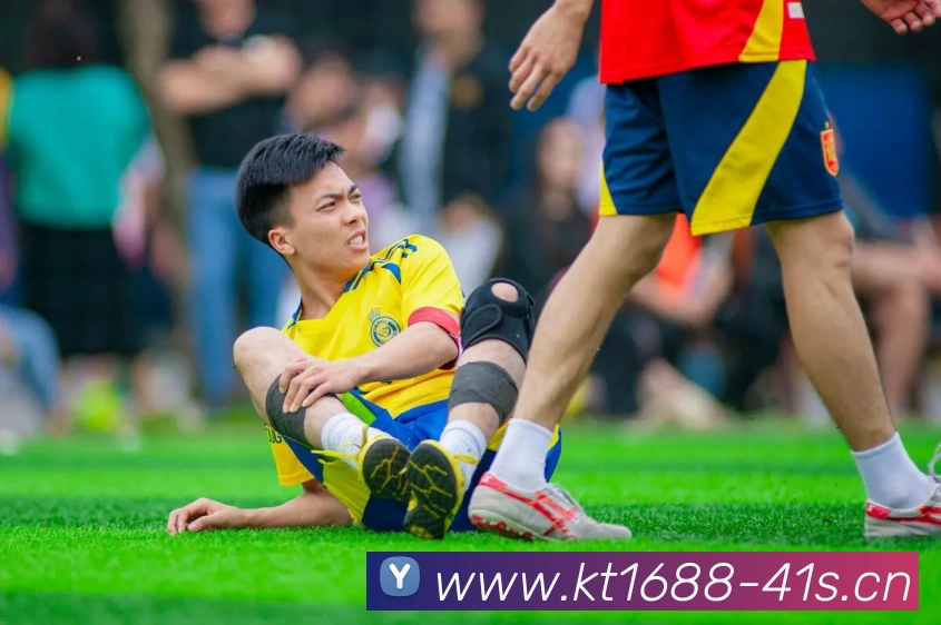 星空体育网址入口平台生态图