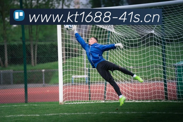 星空体育网址入口APP 封面图